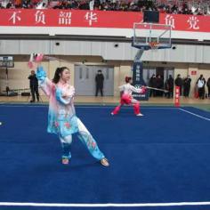 2021年北京市中小学生武术比赛
